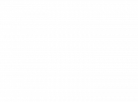Asia Partners